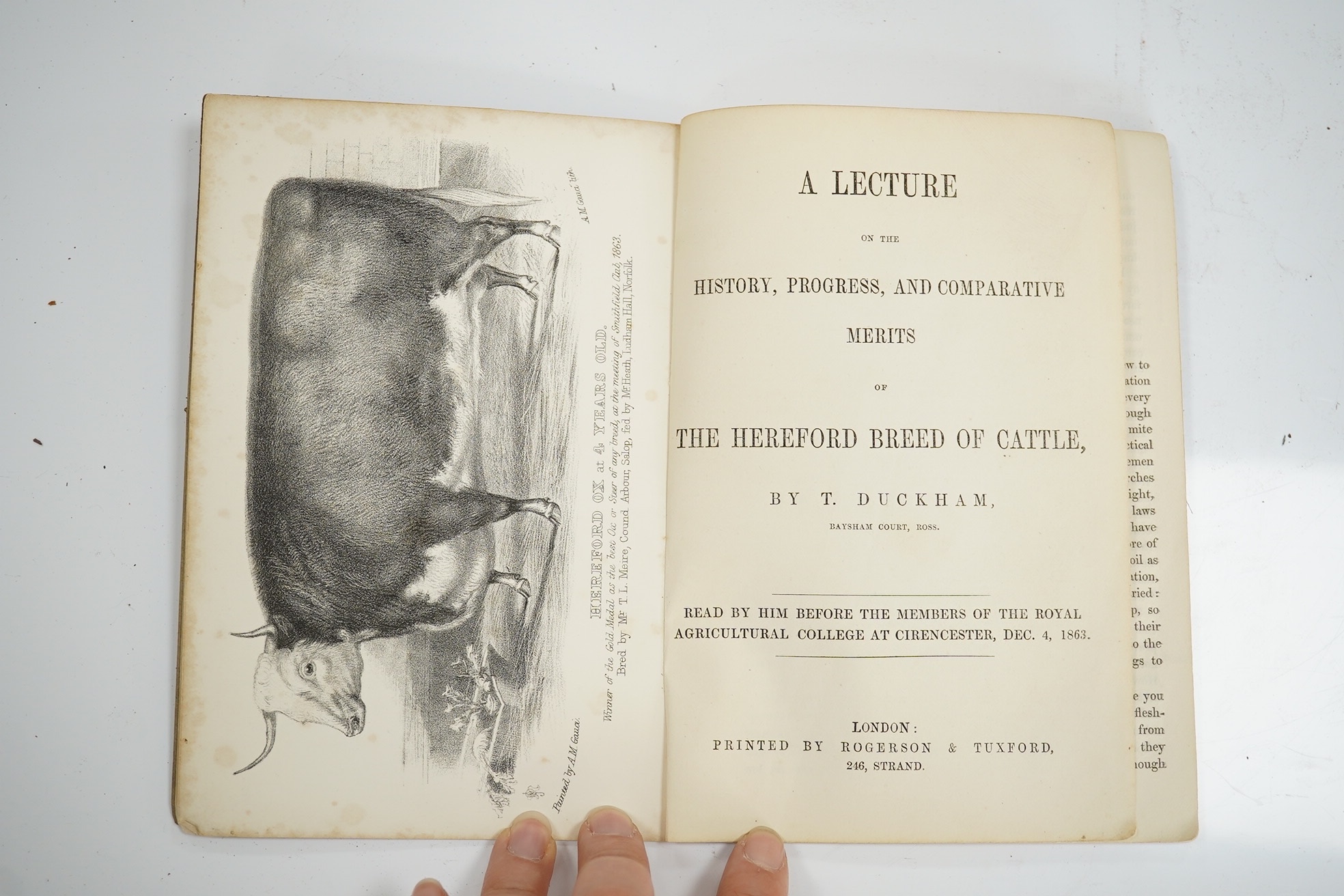 Duckham, Thomas - A Lecture on the History, Progress, and Comparative Merits of the Hereford Breed of Cattle. Read by him before the members of the Royal Agricultural College at Cirencester, Dec.4, 1863. 2 lithographed p